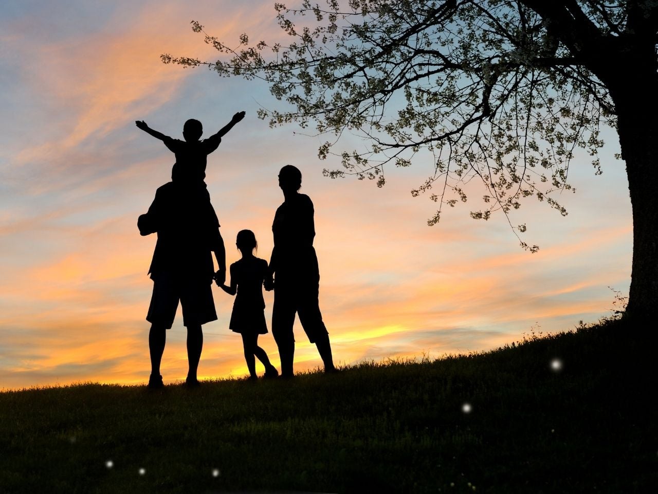 relocating family to new zealand